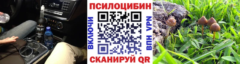 Псилоцибиновые грибы прущие грибы  где найти   Билибино 